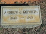 Andrew Jackson Goforth (I148)