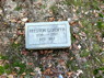 1938 Military Headstone Preston Goforth